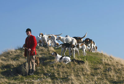 Foxhunting images by Betty Fold Gallery